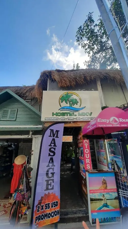 Hostal Mx 5Th Avenue